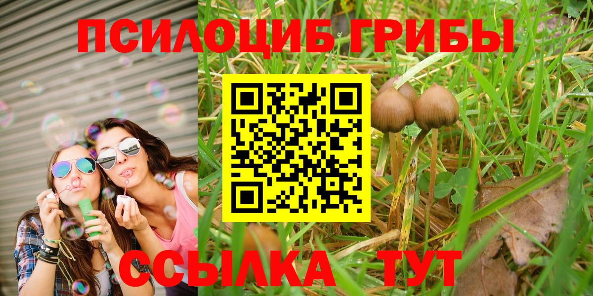 Псилоцибиновые грибы GOLDEN TEACHER  Вход с VPN  наркотики  Сосновый Бор 